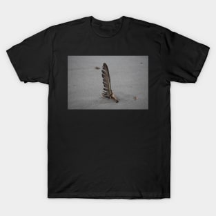 Feather stuck in the sand T-Shirt